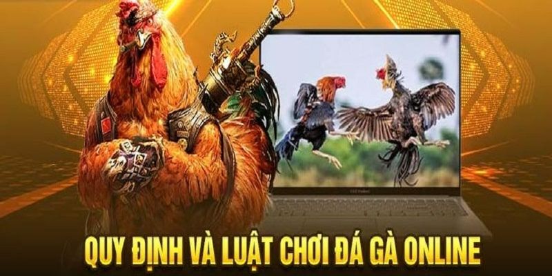 Các quy định và luật chơi đá gà J88